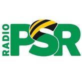 PSR Partymix